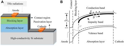 The high-performance linear scan imaging system of terahertz Si-based blocked-impurity-band detector